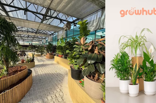 Growhub UAE